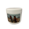 Fly Away Stripes Fly Repellent