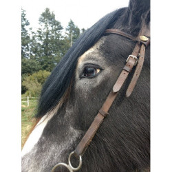 Headband Forelock Extension