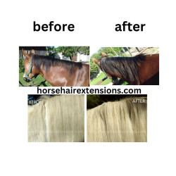 Clip In Horse Hair Mane Extension Length 12 inch (30cm)